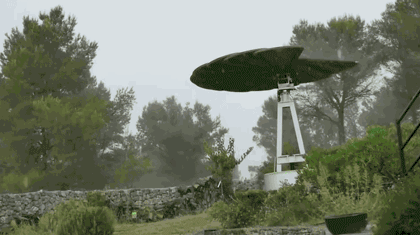 11.gif